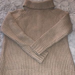 Banana Republic Turtleneck Sweater